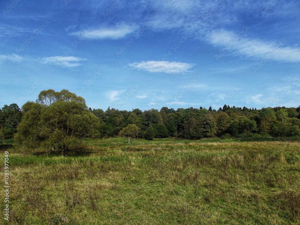 Serene autumn meadow with a forest in the background Serene autumn meadow with a forest in the background