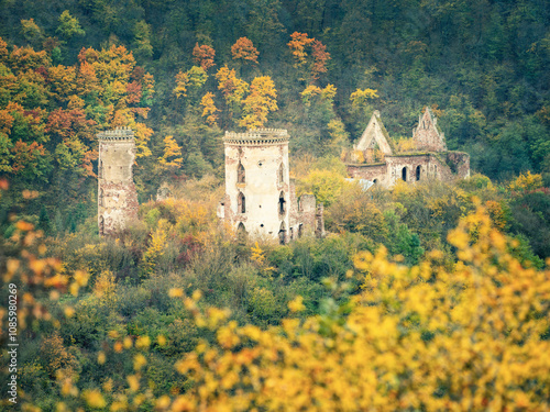Принти на полотні telephoto view to ruins of medieval castle and church in autumn forest