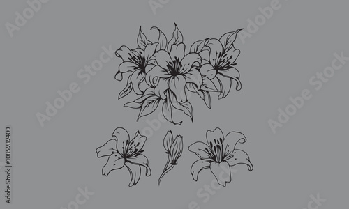 flowers tattoo design over white  Lily silhouette    vector illustration
