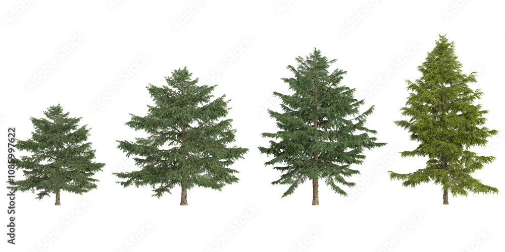 3d rendering of Abies,Cedrus tree on transparent background 3d rendering of Abies,Cedrus tree on transparent background
