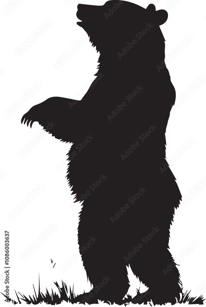 silhouette of a bear silhouette of a bear