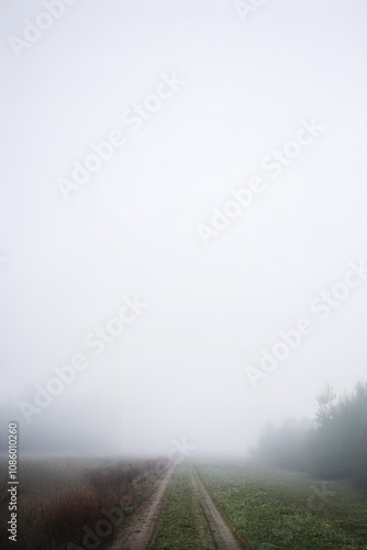 A foggy landscape. A rural road leading into the fog.