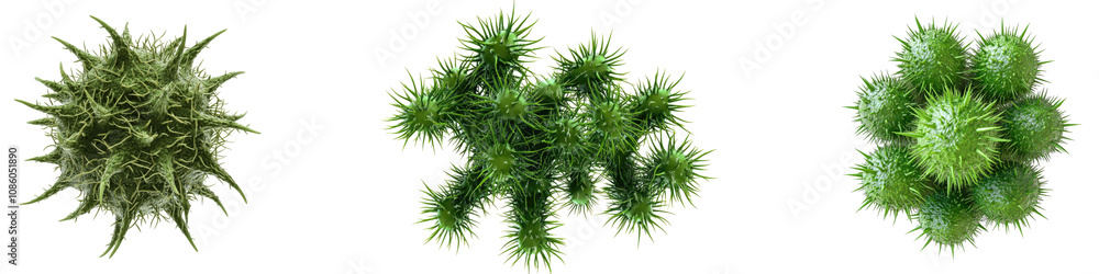 Green spiky bacteria isolated on transparent background, Set of Green spiky bacteria isolated on transparent background, Set of