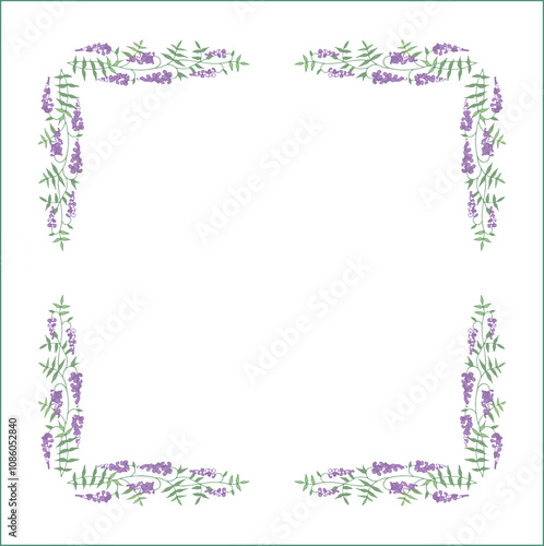 Elegant green vegetal ornamental frame with leaves and glycine flowers, decorative border, corners for greeting cards. Isolated vector illustration