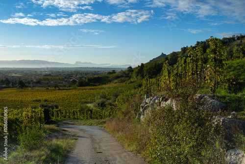 Panoramic view on the Cornas vineyard during harvest season with Crussol castle and Vercors mountains on the background. photo