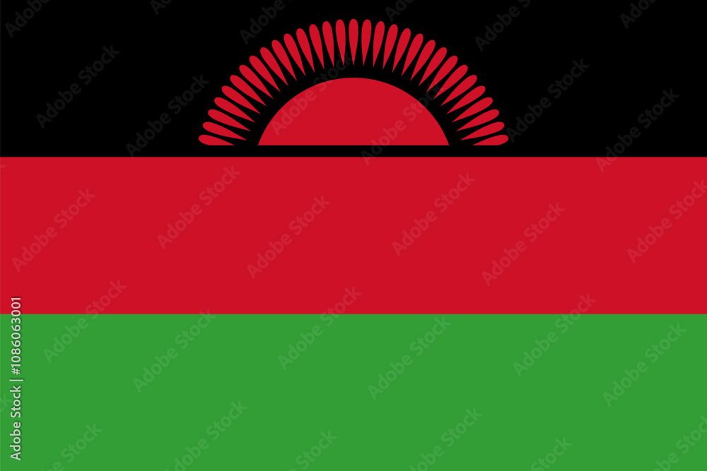 Obraz premium Flag of Malawi