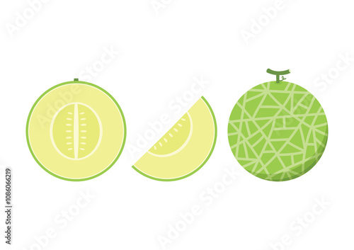 Green melon. Melon logo vector. melon on white background. Half melon.