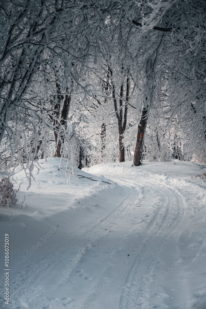 Winter in the mountains Winter in the mountains