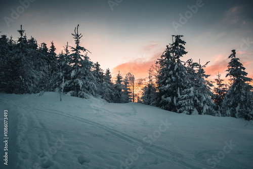 Winter in the mountains