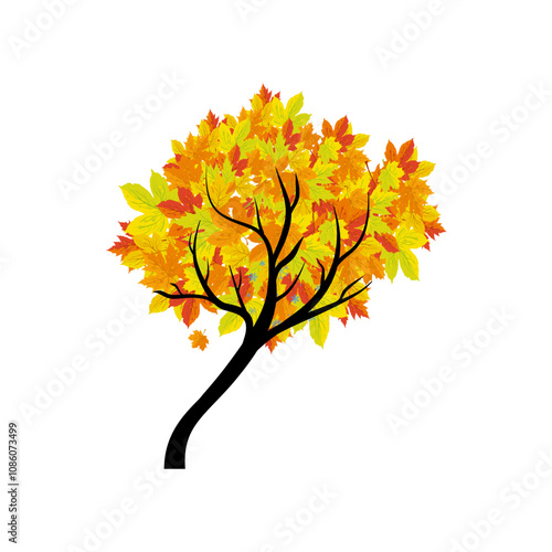 Autumn tree with coloe leaves, autumn maple - vector illustration photo