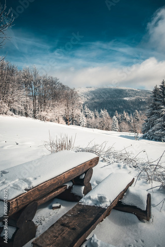 Wallpaper Mural Winter in the mountains Torontodigital.ca