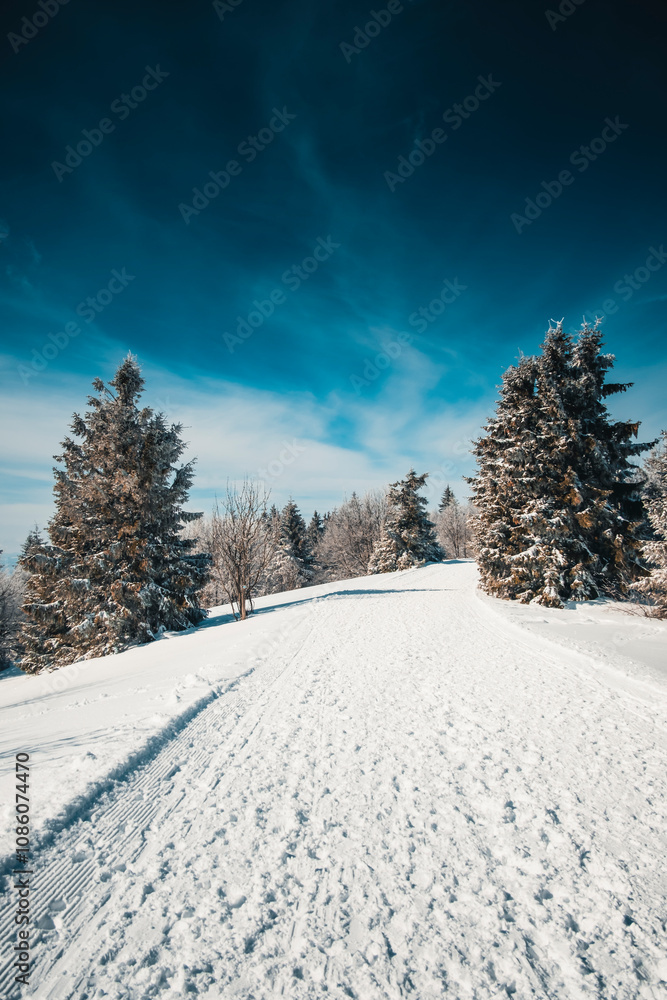 Fototapeta premium Winter in the mountains