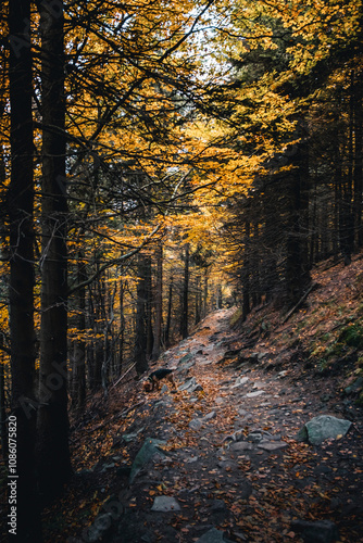 Autumn in the mountains