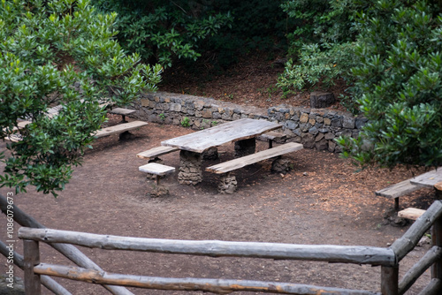 public picnic spot in forest with wooden table and benches near hiking trail in tenerife .