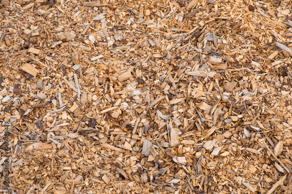 woodchips, forest floor mulch. wood chip background. woodchips, forest floor mulch. wood chip background.