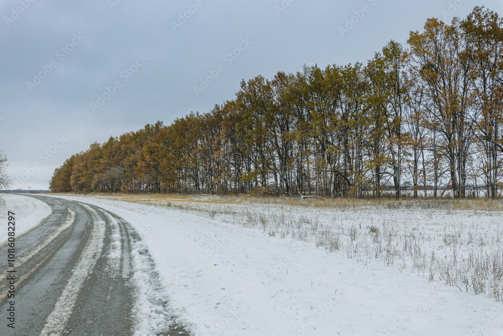 A snowy road with trees in the background