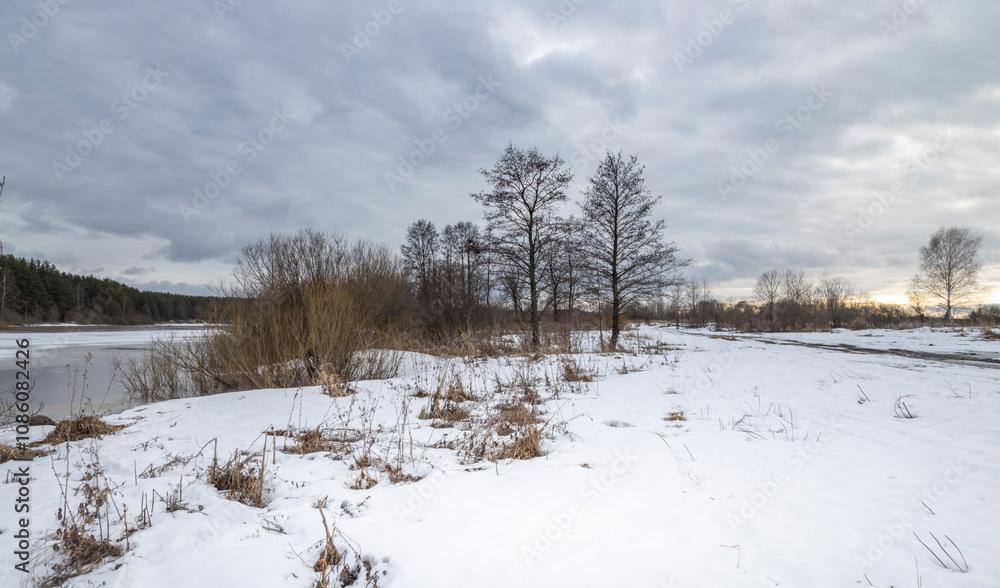 Snowy field with trees in the background Snowy field with trees in the background