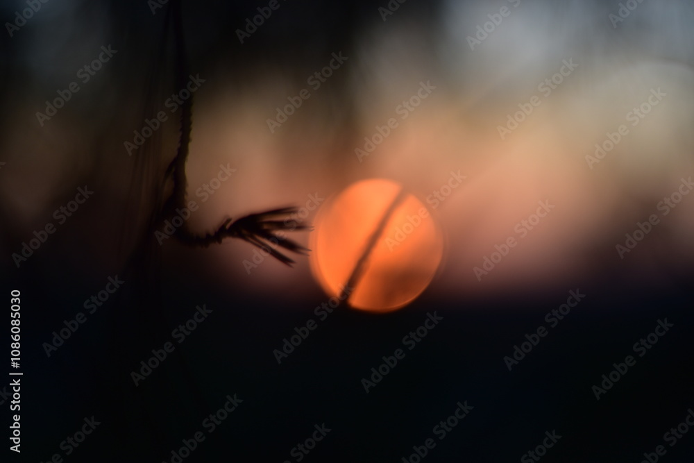 Fototapeta premium Sunset