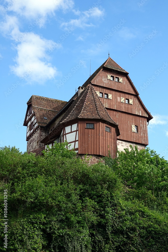 Schloss in Altensteig Schloss in Altensteig