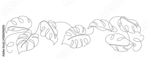 Monstera leaves drawn in continuous line in minimalist style, tropical plants, single line, editable vector contour.
