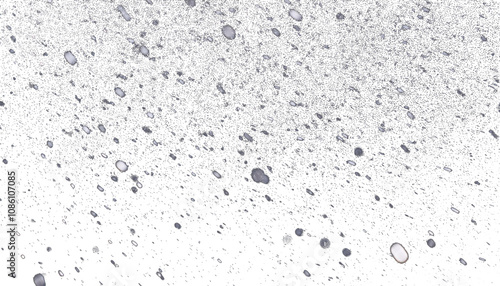 Realistic snowflakes falling on a transparent background