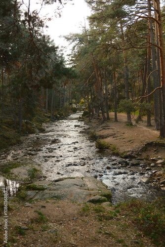 Bosque con un río. Boca del asno. Madrid. Paisaje otoñal 