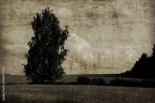 krajobraz roztocza polskiego