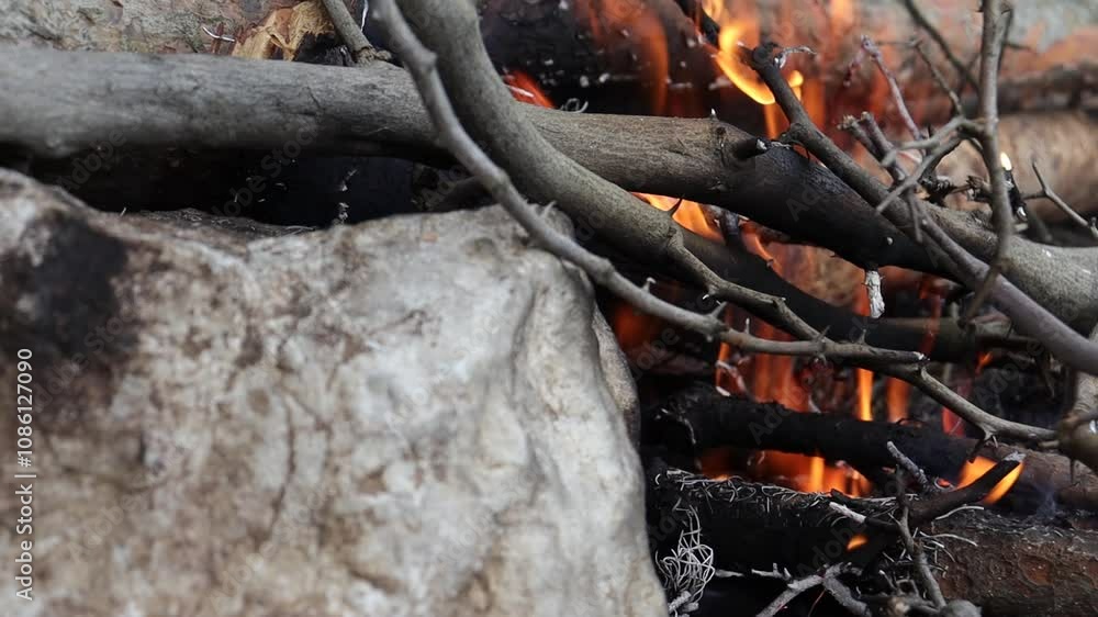 Tree Branches Burning on Campfire (Close-up) Tree Branches Burning on Campfire (Close-up)