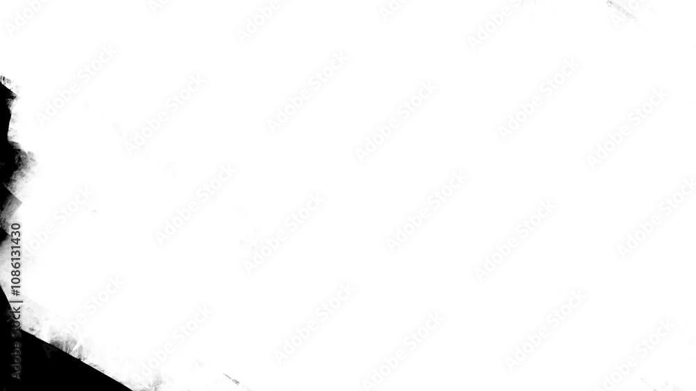 Paint brush transition Fast Abstract stroke black and white background, animation of paint splash. Brush stroke black and white transition background