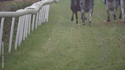 Foggy racetrack with galloping horses tearing up the grass. The focus is on their legs and hooves kicking dirt upward. Slow-motion shot. photo