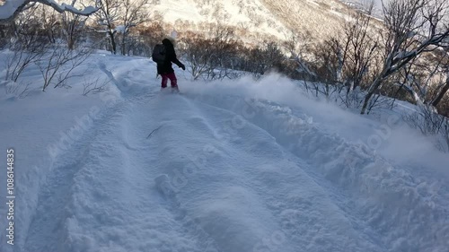 Fresh powder snow flies dramatically while a snowboarder rides through snowy mountain forest. Untouched snow and fairy tale winter atmosphere enhance the joy and freedom of freeride snowboarding.