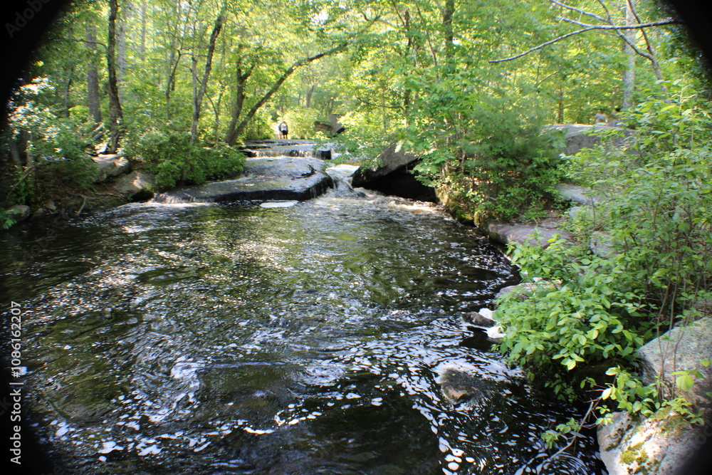 Naklejka premium stream in the forest
