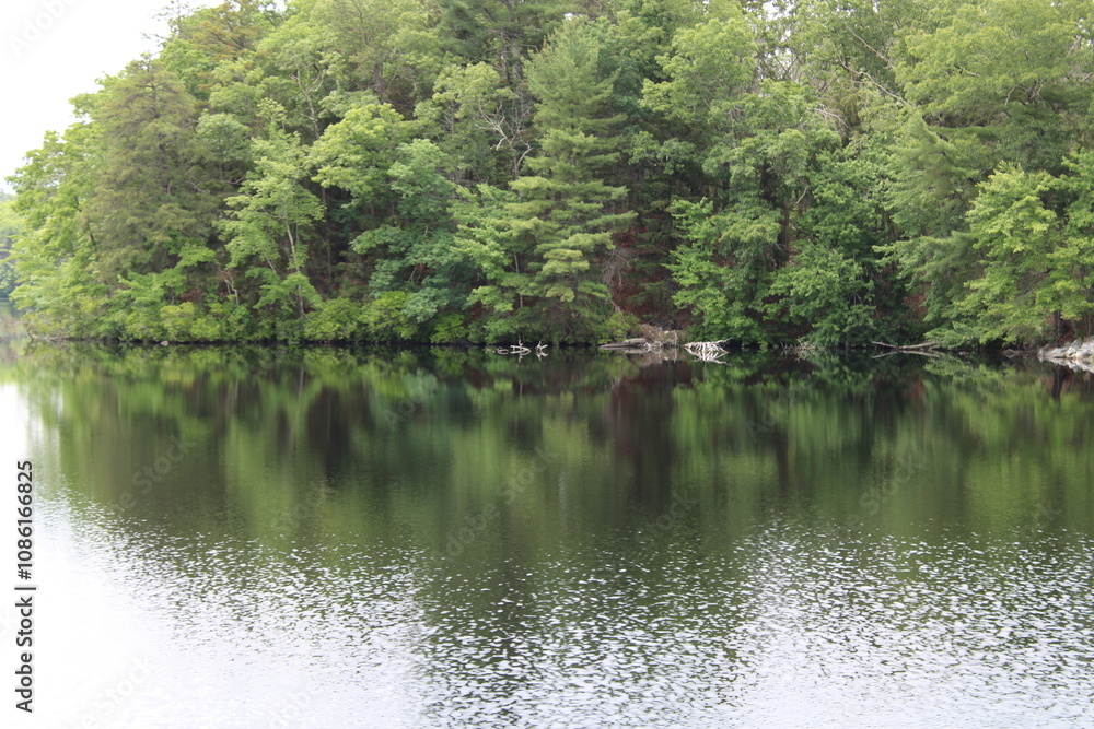 lake in the park lake in the park