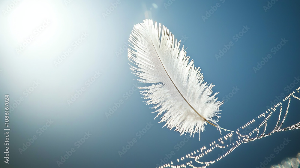 Fototapeta premium A delicate feather sways gently in a spiderweb under the bright blue sky during a sunny day
