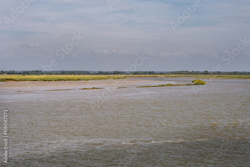 View of the Bay of Somme in summer, Picardie, France