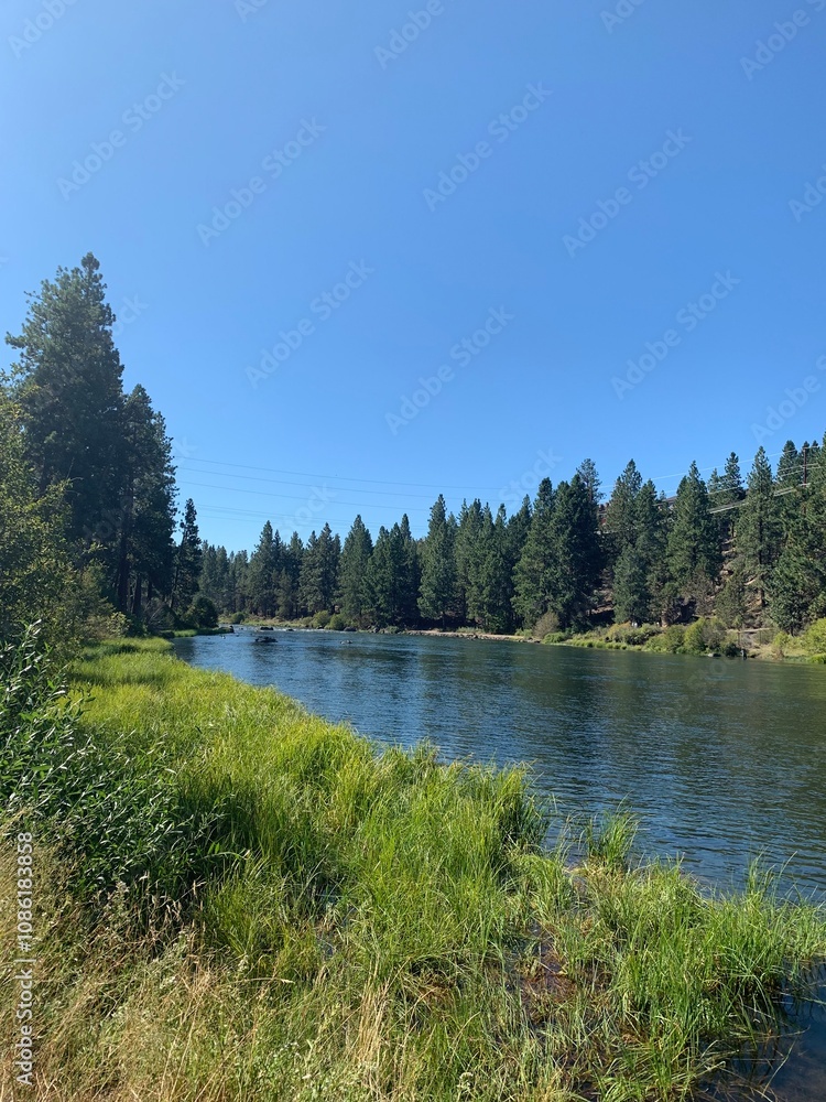 Obraz premium Along the river