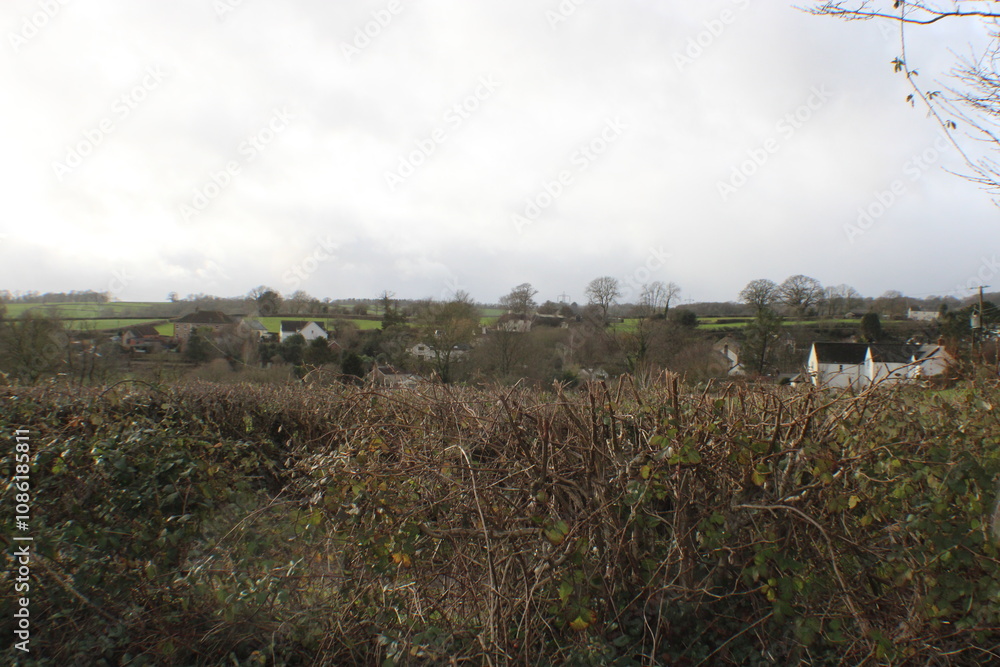 Obraz premium Sky and Field