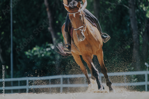 Φωτογραφία A rider skillfully gallops on a horse in an outdoor arena, capturing the speed and grace of equestrian sports