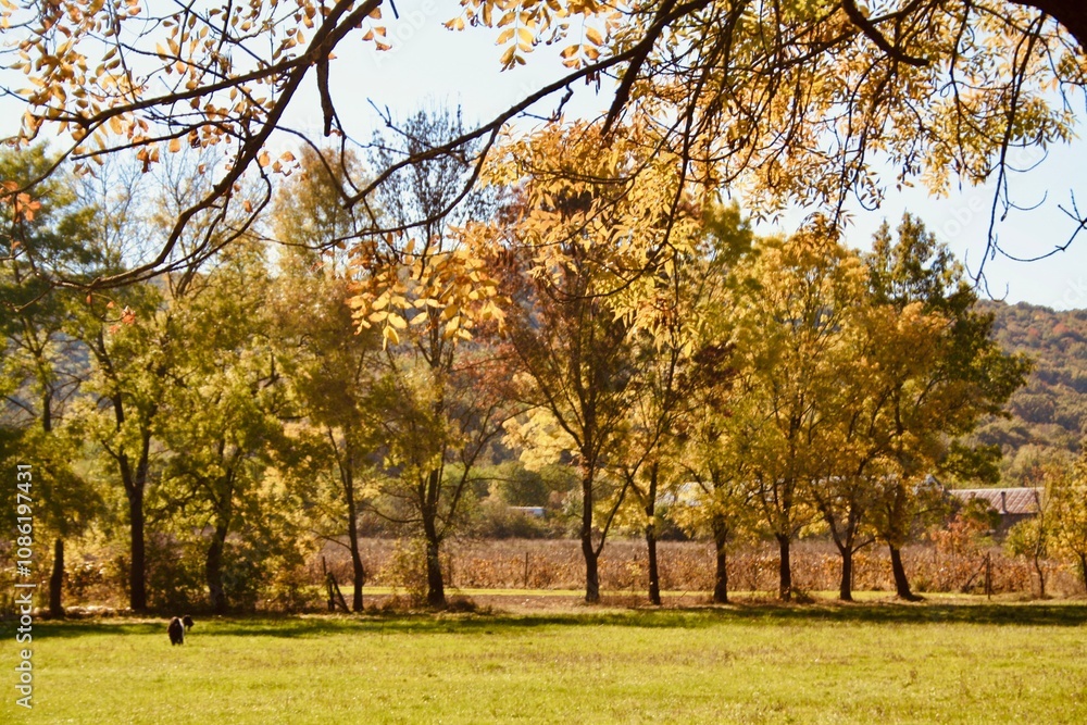 autumn in the park autumn in the park