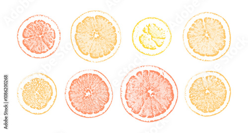 Orange slices stippling retro Christmas vector elements