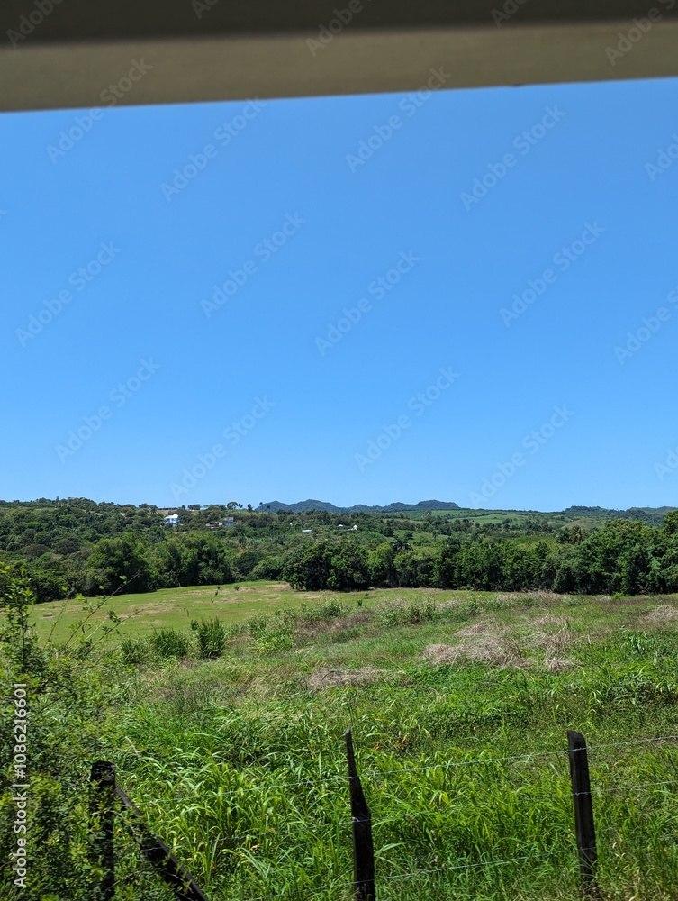 Fototapeta premium Field and sky