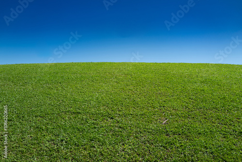 Landscape of green grass field. Blue sky and clouds background. Green grass field on landscape background. Landscape of countryside. Wide green field. Green meadows or grass field.