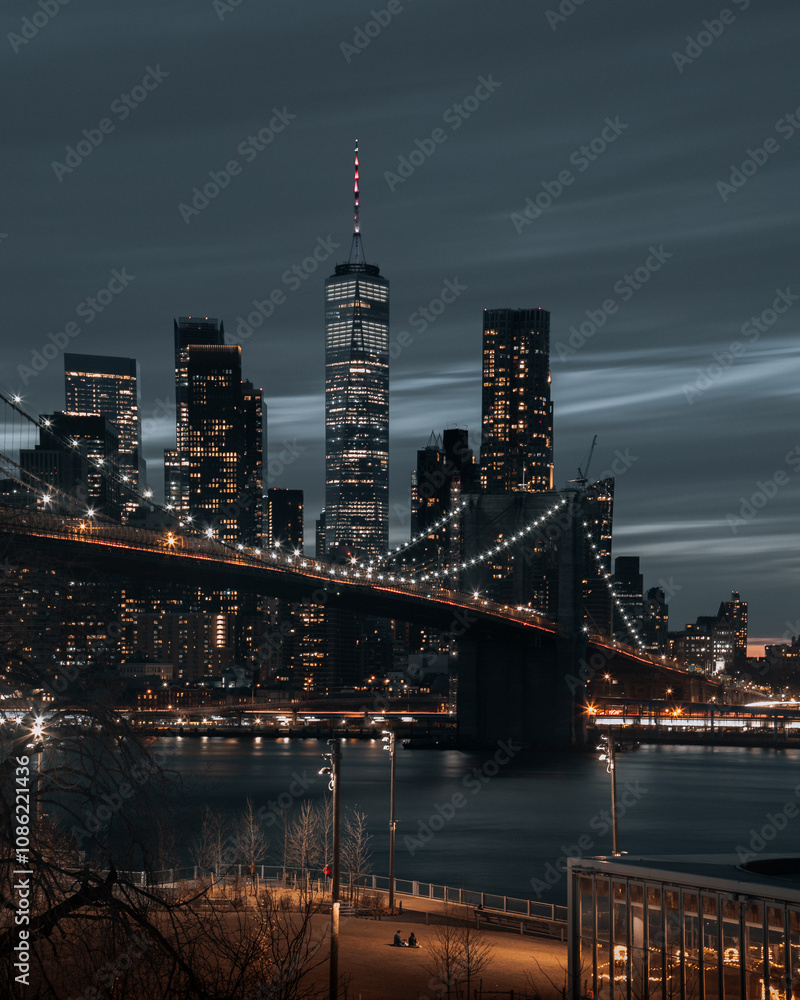Fototapeta premium Manhattan Skyline at night from Brooklyn Bridge Park