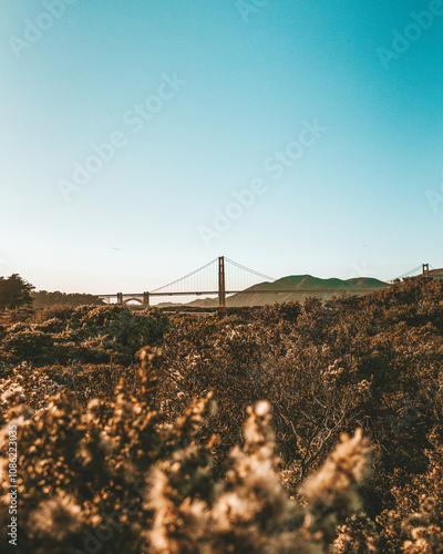 Golden Gate Bridge in the morning photo