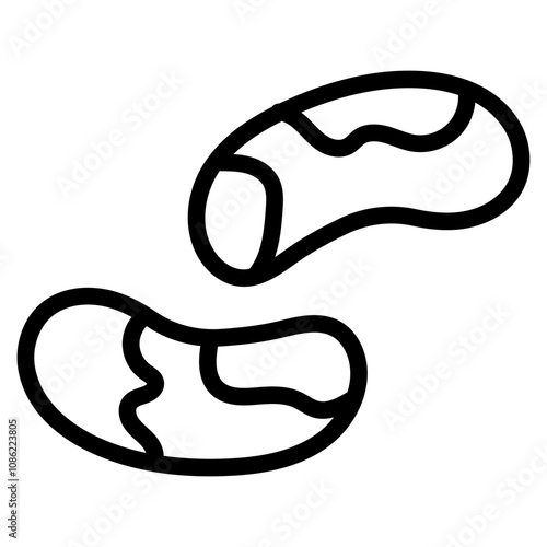 Brazil nut icon