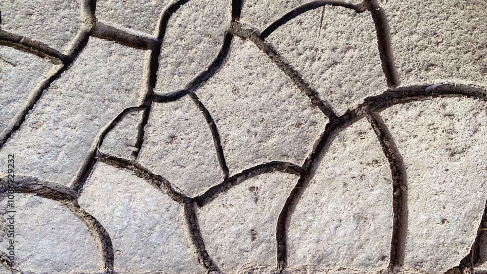 Obraz premium Cracked Concrete Texture for Background Use