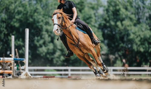 Photography Young equestrian riding a brown horse during an outdoor competition, showcasing speed and skill on a sunny day
