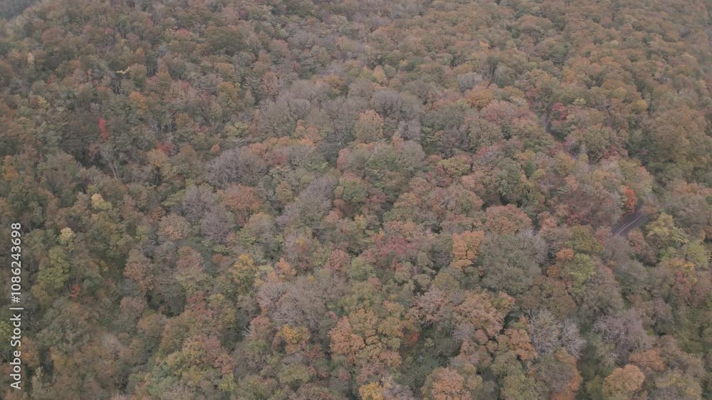 日本の美しい紅葉(木谷沢渓流)ドローン空撮 日本の美しい紅葉(木谷沢渓流)ドローン空撮