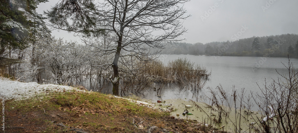 Snowy landscape with a tree in the foreground
