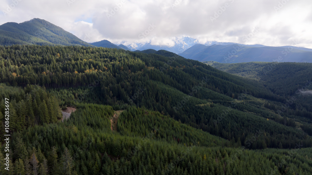Aerial View of Lush Green Forest with Distant Mount Rainier Hidden by Clouds Aerial View of Lush Green Forest with Distant Mount Rainier Hidden by Clouds